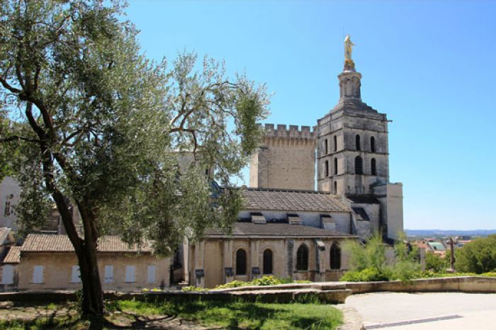 What to visit in Avignon in a weekend